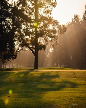 Image post by @pga on Instagram