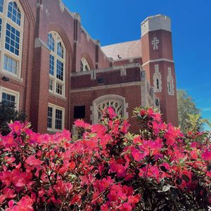 Image post by @floridastateuniversity on Instagram