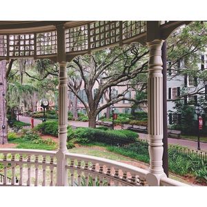 Image post by @collegeofcharleston on Instagram