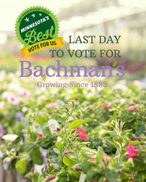 Image post by @shopbachmans on Instagram