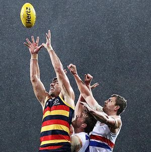Image post by @adelaide_fc on Instagram