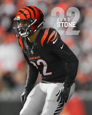 Image post by @bengals on Instagram