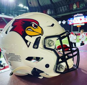 Image post by @isuredbirdfb on Instagram