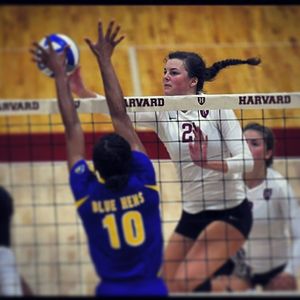 Image post by @harvardwvball on Instagram