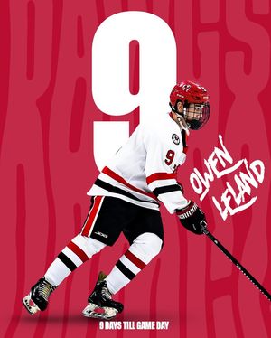 Image post by @ugahockey on Instagram