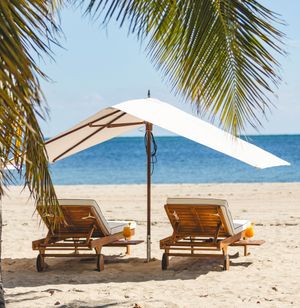 Image post by @tuucishade on Instagram