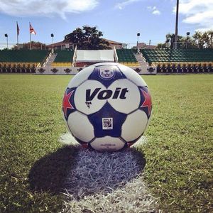 Image post by @tampabayrowdies on Instagram