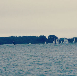 Image post by @yalesailing on Instagram