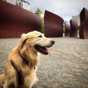 Image post by @amandakl on Instagram