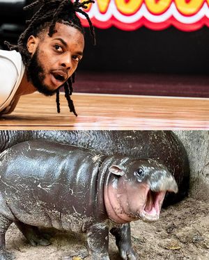 Image post by @cavs on Instagram