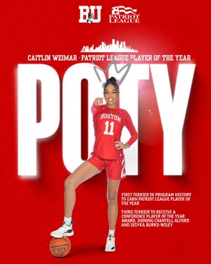 Image post by @TerrierWBB on Twitter