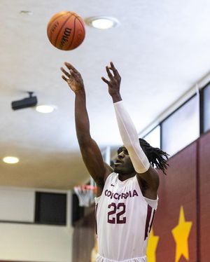 Image post by @the_stingers on Instagram