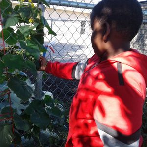 Image post by @kidsgardening on Instagram