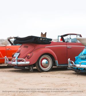 Image post by @vw on Instagram