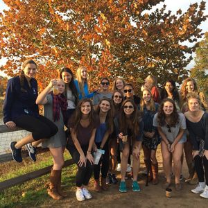 Image post by @yalevolleyball on Instagram