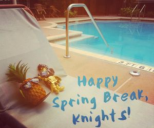 Image post by @rosencollege on Instagram
