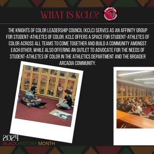 Image post by @arcadia_saac on Instagram