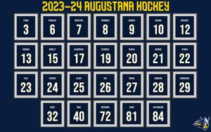 Image post by @augiemhockey on Instagram