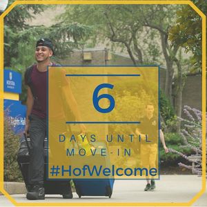Image post by @hofstrau on Instagram