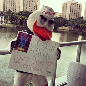 Image post by @um_sebastian on Instagram