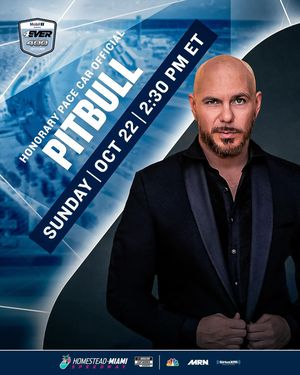 Image post by @pitbull on Instagram