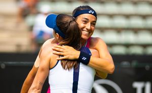 Image post by @WTA on Twitter