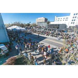 Image post by @treefortfest on Instagram