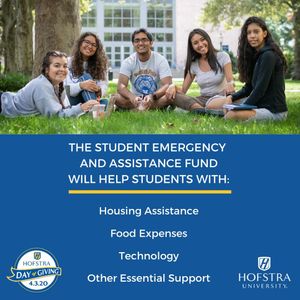 Image post by @hofstrau on Instagram