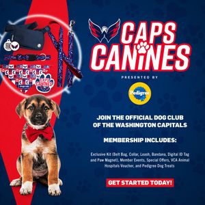 Image post by @Capitals on Twitter