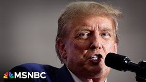 Video post by @msnbc on YouTube