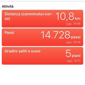 Image post by @alessandra_chiappa on Instagram