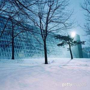 Image post by @gettyimages on Instagram