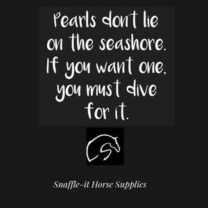 Image post by @snaffle_it on Instagram