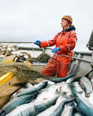 Image post by @discovery on Instagram