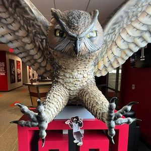 Image post by @templealumni on Instagram