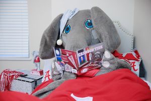 Image post by @univofalabama on Instagram