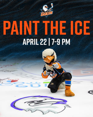 Image post by @sdgullsahl on Instagram