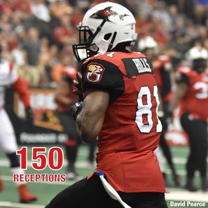 Image post by @jaxsharks on Instagram