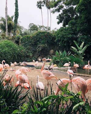 Image post by @zofeeagenota on Instagram