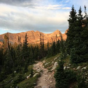 Image post by @emilyventures on Instagram