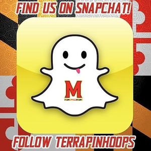 Image post by @terrapinhoops on Instagram