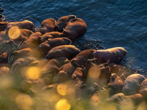 Image post by @natgeo on Instagram