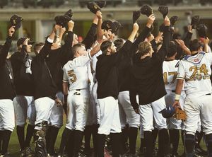 Image post by @edmprospects on Instagram
