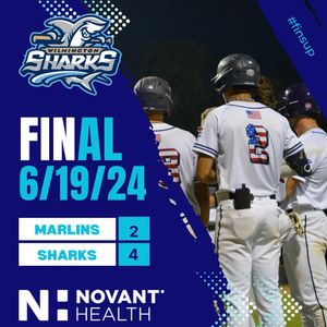 Image post by @ilmsharks on Instagram