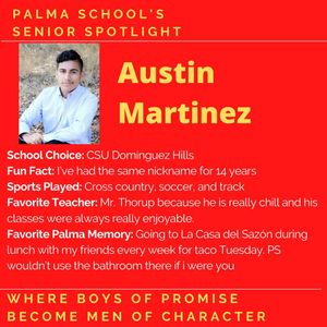 Image post by @palma_school on Instagram