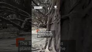 Video post by @accuweather on YouTube