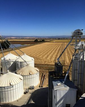 Image post by @lundbergfarms on Instagram