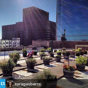Image post by @hiltonhotels on Instagram