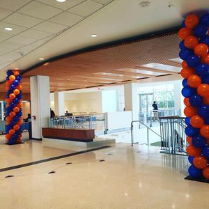 Image post by @ufgatornights on Instagram