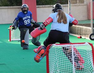 Image post by @terrierfh on Instagram